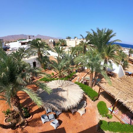 Hotel Miramar Camp Dahab Exterior foto