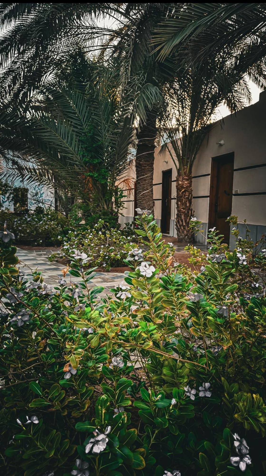 Hotel Miramar Camp Dahab Exterior foto