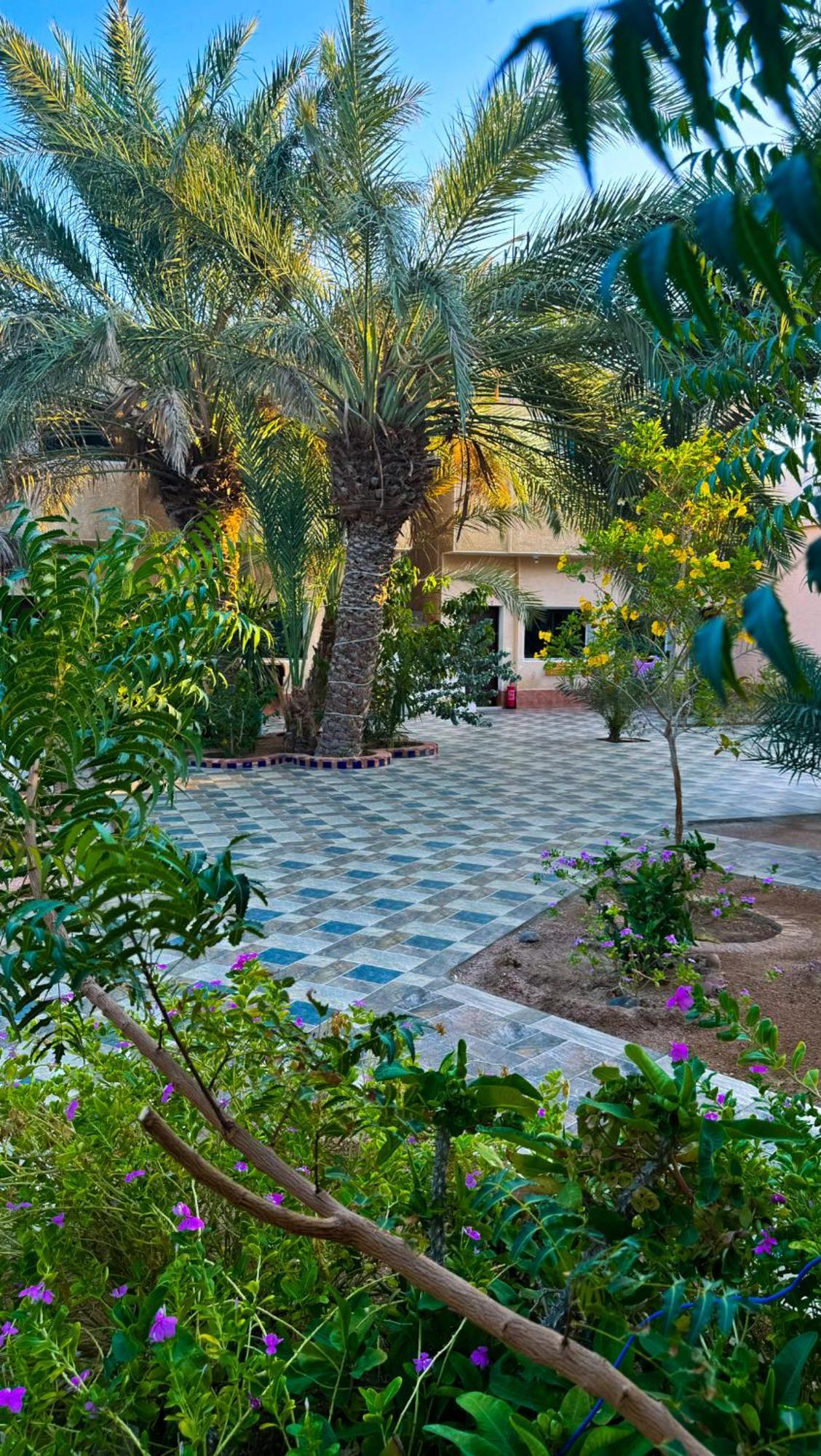 Hotel Miramar Camp Dahab Exterior foto