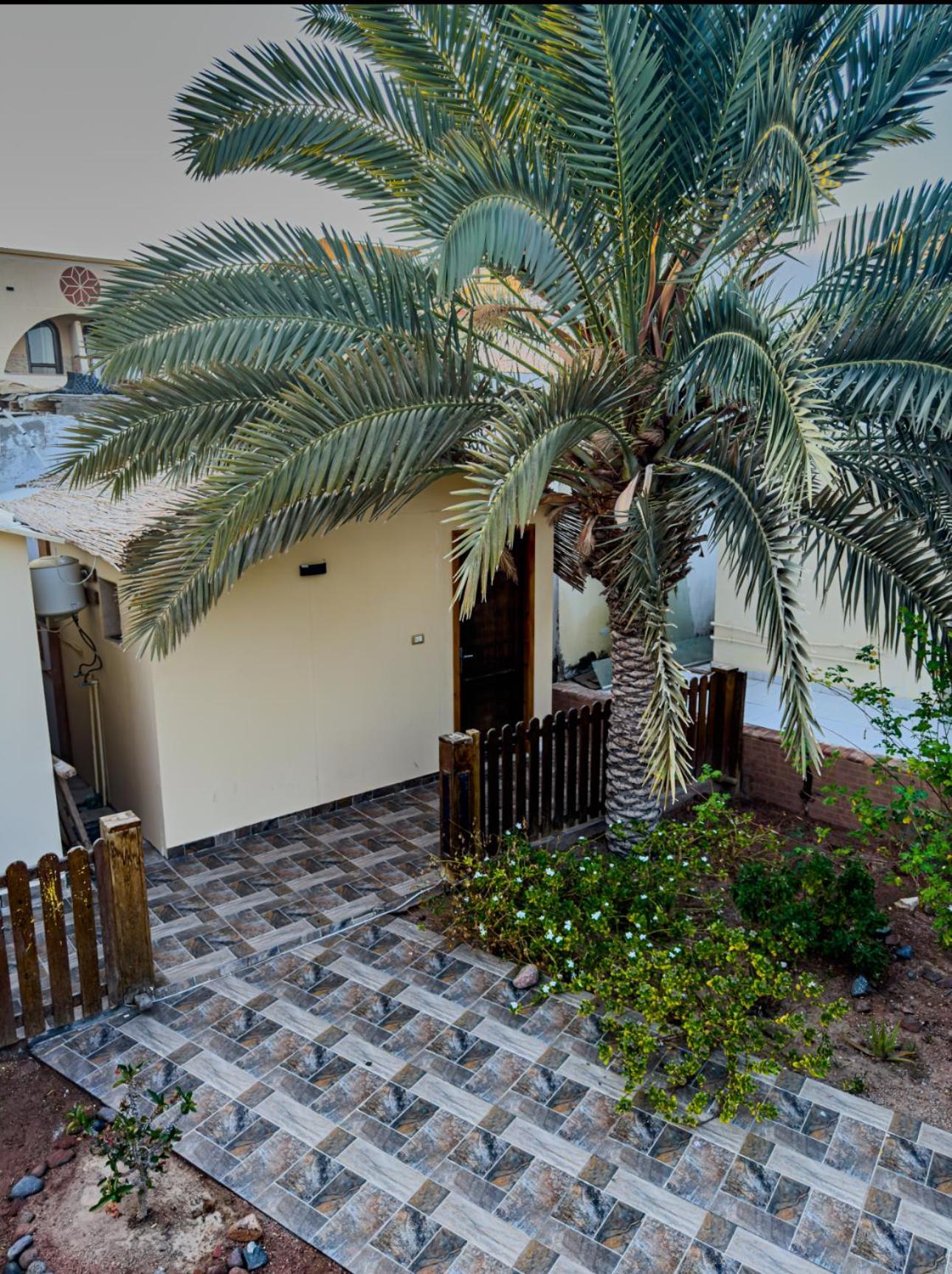 Hotel Miramar Camp Dahab Exterior foto
