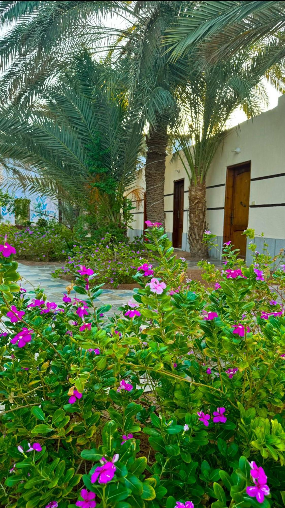 Hotel Miramar Camp Dahab Exterior foto