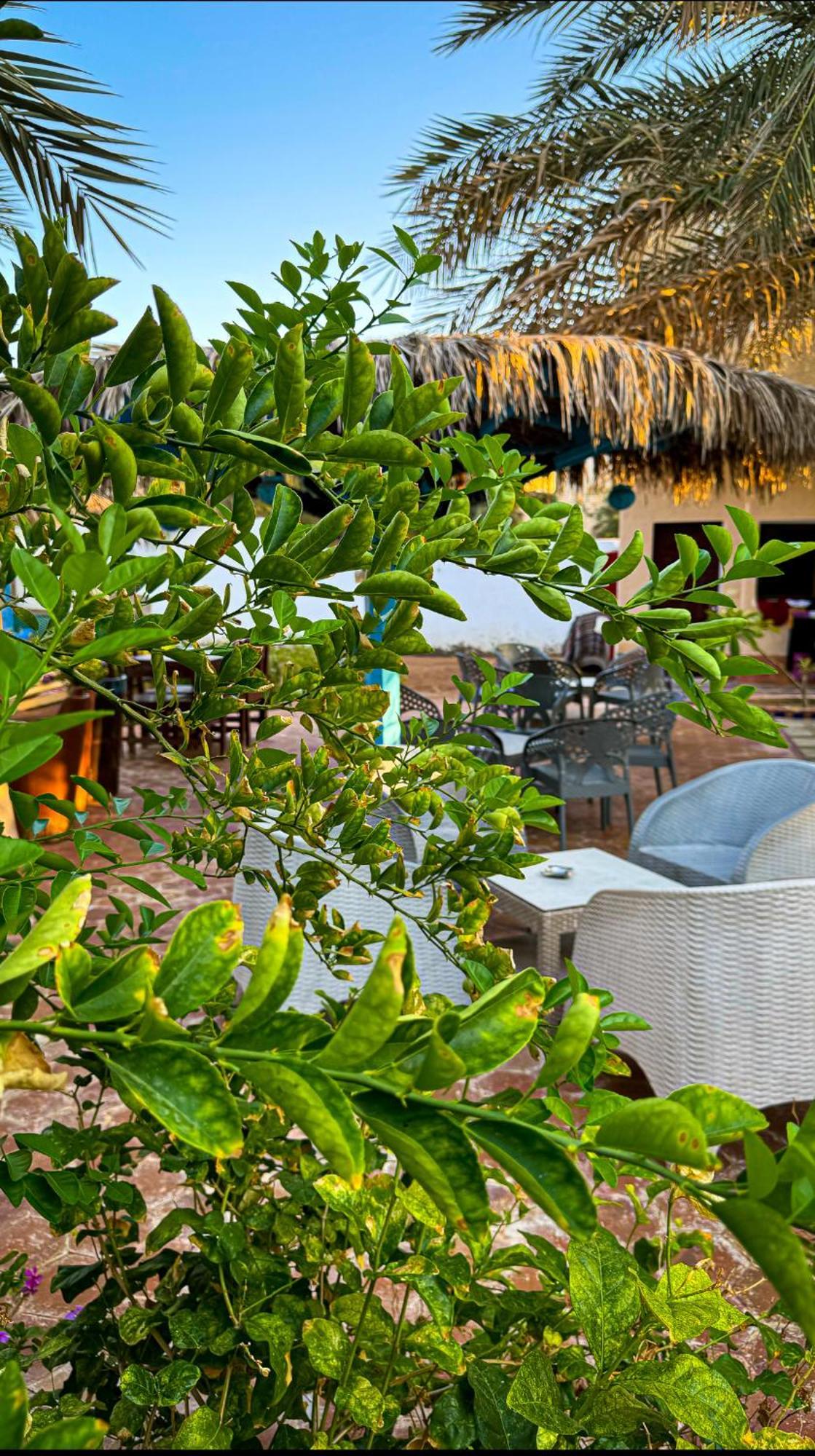Hotel Miramar Camp Dahab Exterior foto