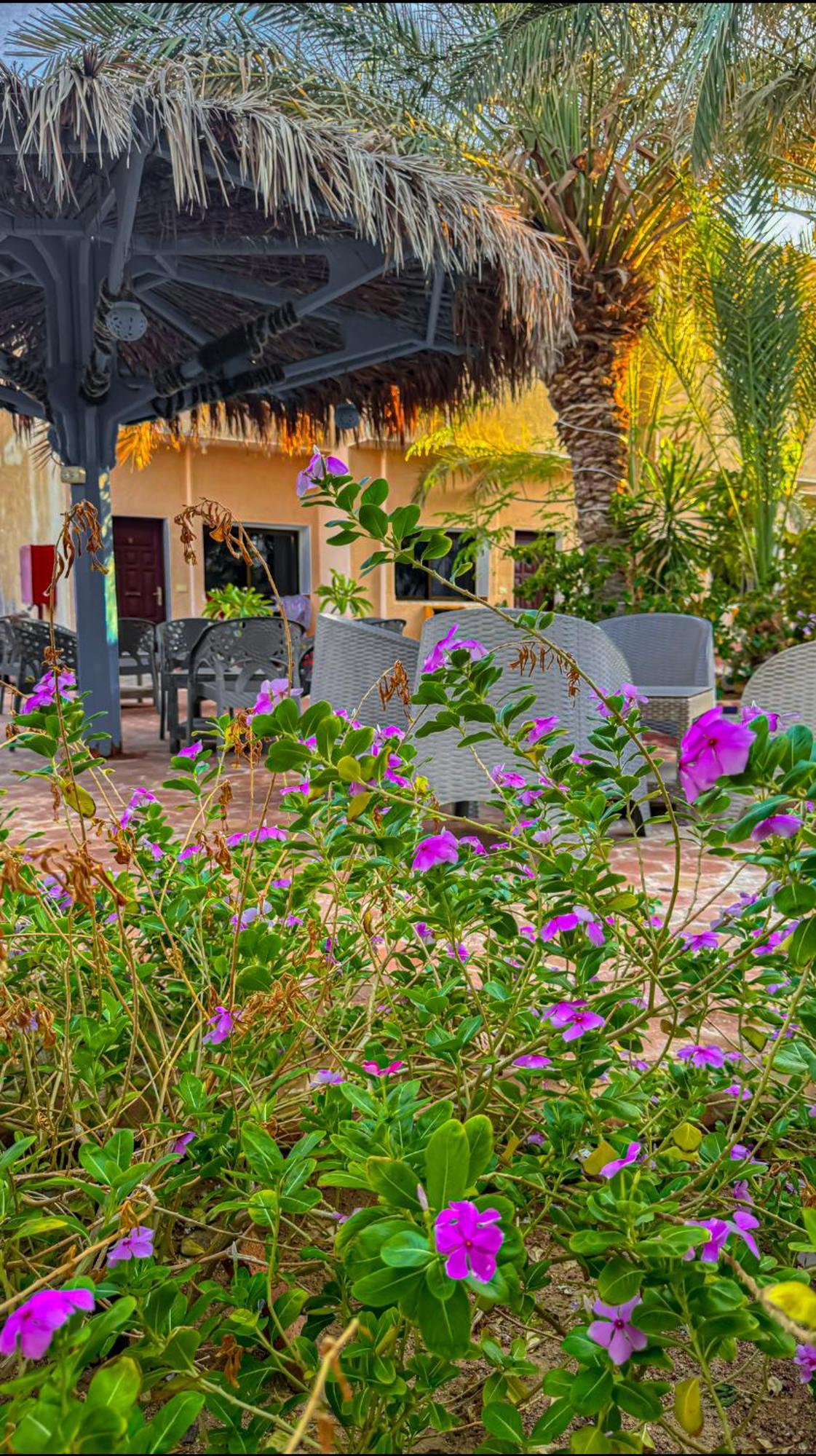 Hotel Miramar Camp Dahab Exterior foto