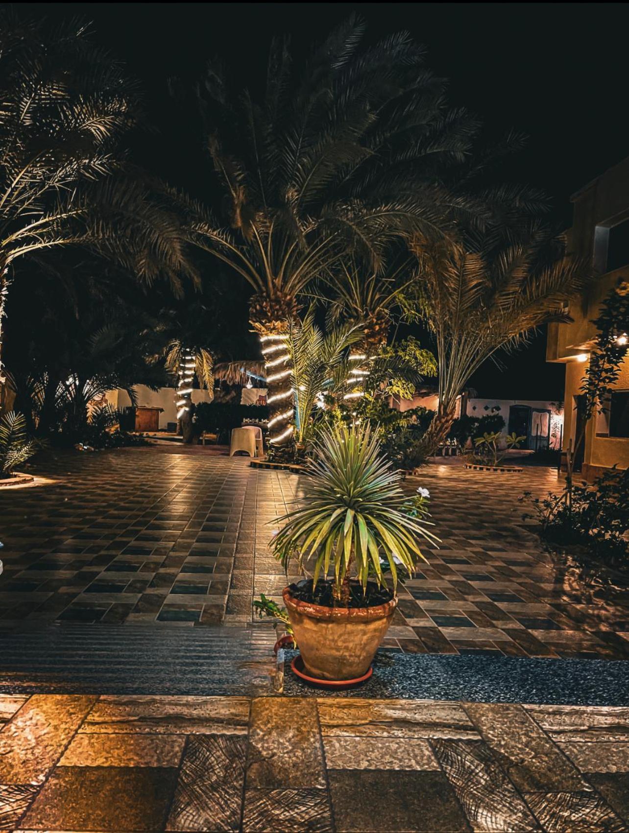 Hotel Miramar Camp Dahab Exterior foto