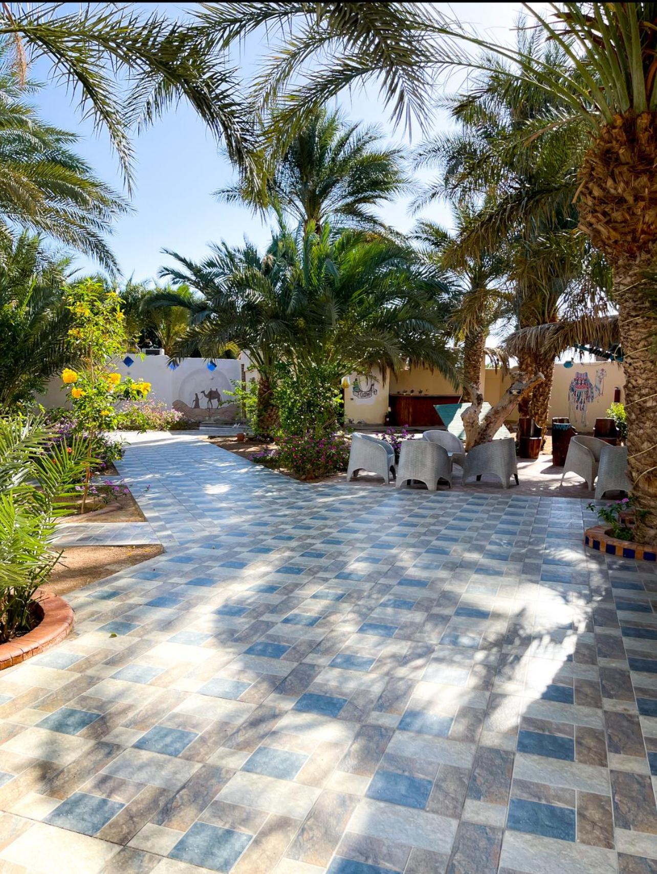 Hotel Miramar Camp Dahab Exterior foto